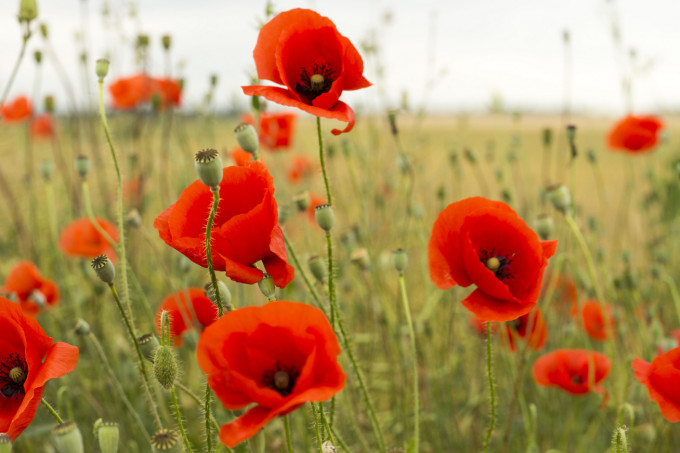 Szeretettel köszöntünk mindenkit!
